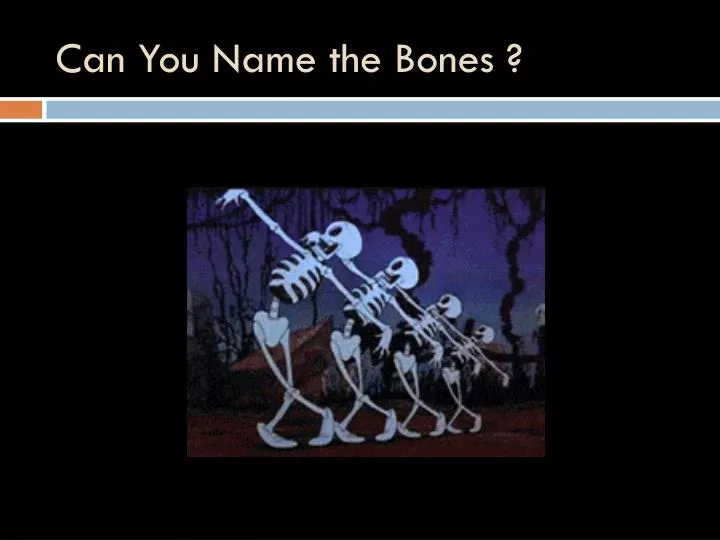 can you name the bones