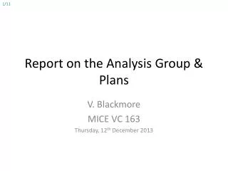 Report on the Analysis Group &amp; Plans