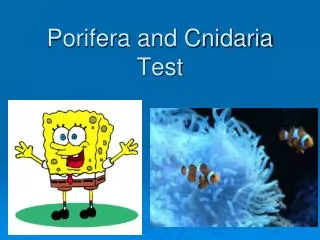 Porifera and Cnidaria Test