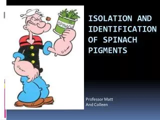 Isolation and Identification of Spinach Pigments