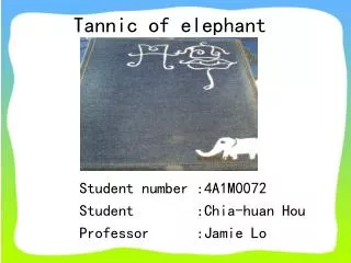 Tannic of elephant