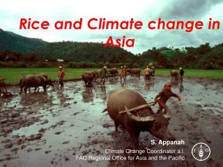 Rice and Climate change in Asia