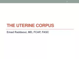 The Uterine Corpus