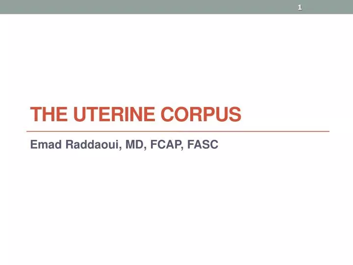the uterine corpus