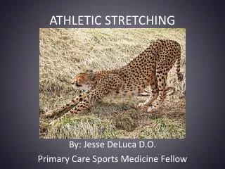 ATHLETIC STRETCHING