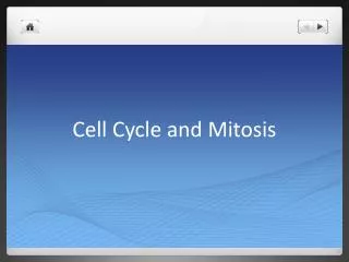 Cell Cycle and Mitosis