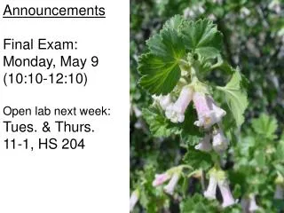 Announcements Final Exam: Monday, May 9 (10:10-12:10) Open lab next week: Tues. &amp; Thurs.