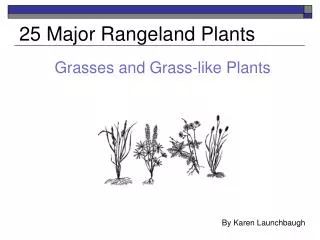25 Major Rangeland Plants