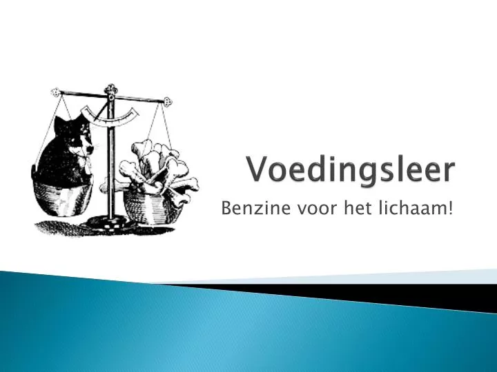 voedingsleer