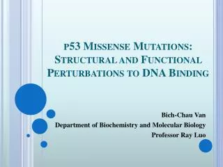 p 53 Missense Mutations: Structural and Functional Perturbations to DNA Binding