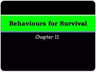 Behaviours for Survival