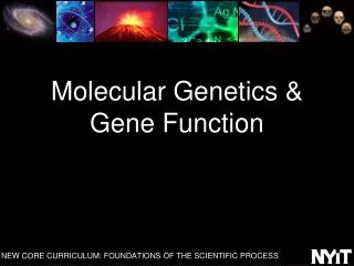 Molecular Genetics &amp; Gene Function