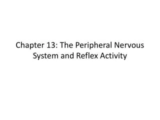 Chapter 13: The Peripheral Nervous System and Reflex Activity
