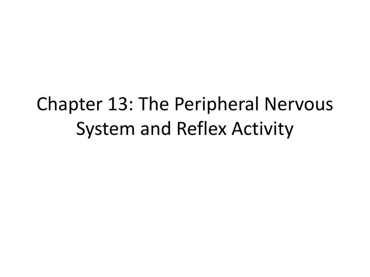 chapter 13 the peripheral nervous system and reflex activity