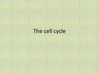 The cell cycle