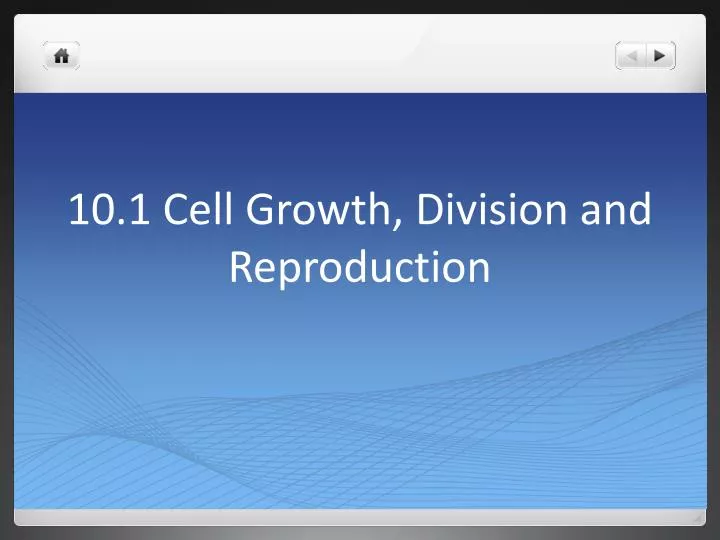 10 1 cell growth division and reproduction