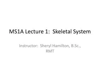 MS1A Lecture 1: Skeletal System