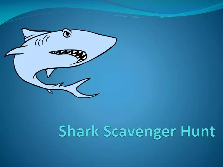 shark scavenger hunt