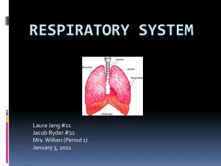 Respiratory System