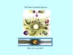 The heart of particle physics - slide 1