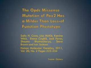 The Opdc Missense Mutation of Pax2 Has a Milder Than Loss-of Function Phenotype