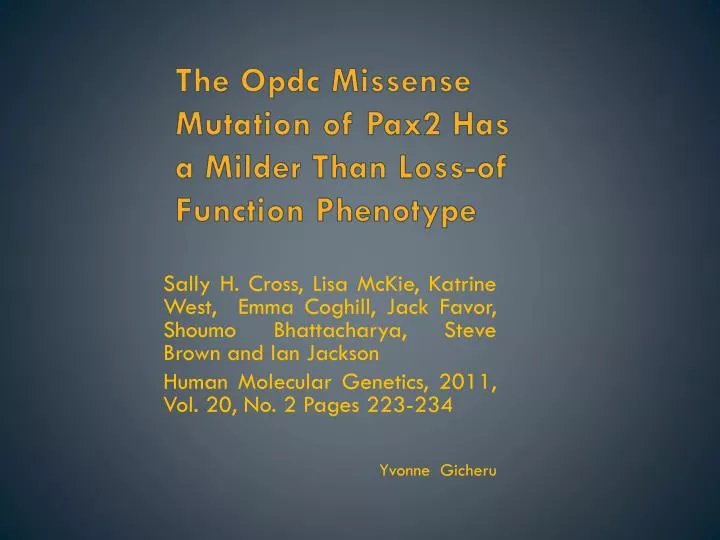 the opdc missense mutation of pax2 has a milder than loss of function phenotype
