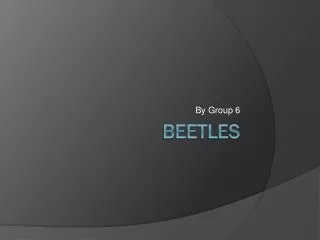 Beetles