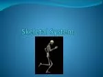 Skeletal System - slide 1
