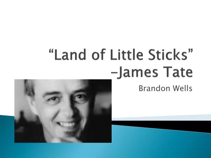 land of little sticks james tate