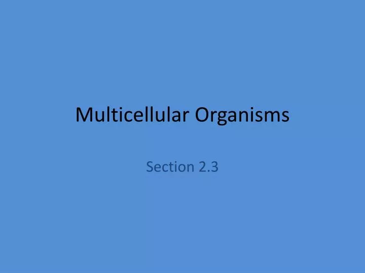 multicellular organisms