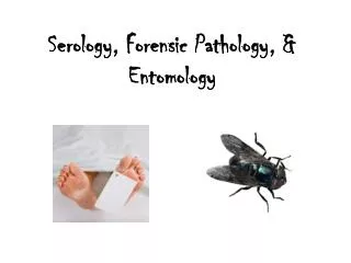 Serology, Forensic Pathology, &amp; Entomology