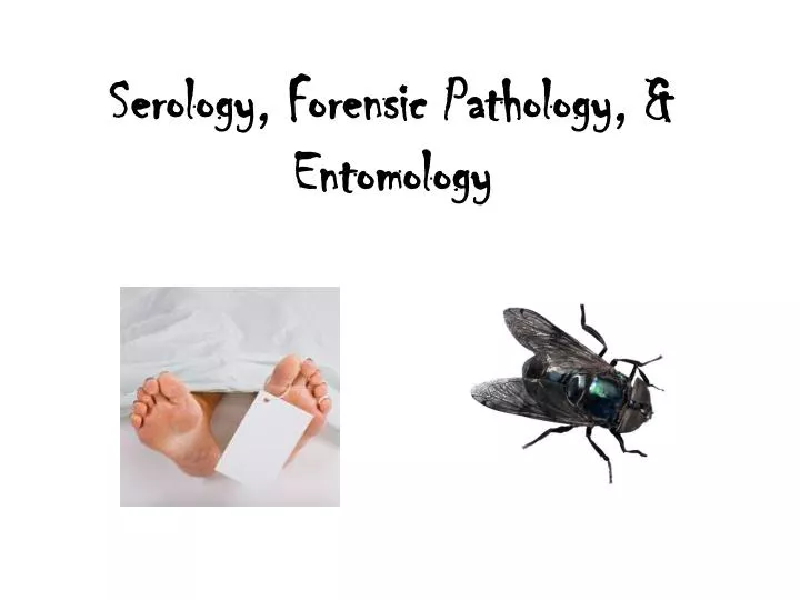 serology forensic pathology entomology