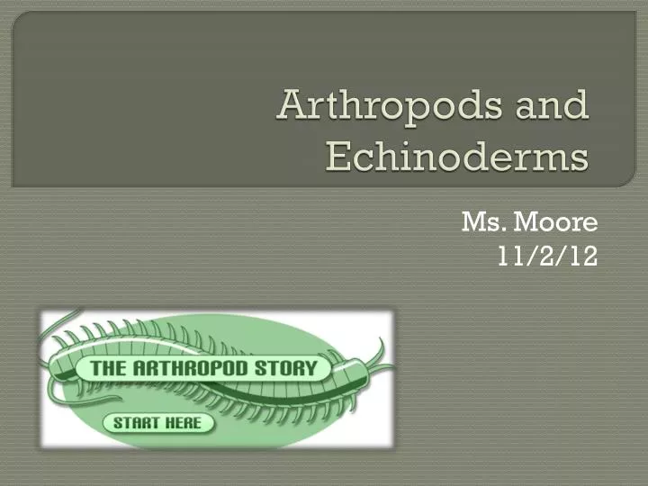 arthropods and echinoderms