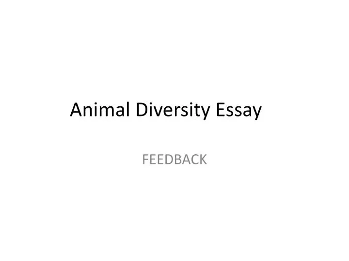 animal diversity essay