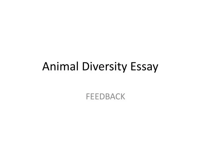 essay on animal diversity