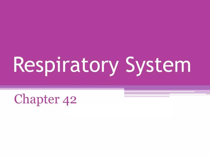 respiratory system