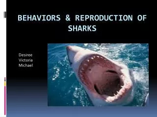 Behaviors &amp; Reproduction of sharks