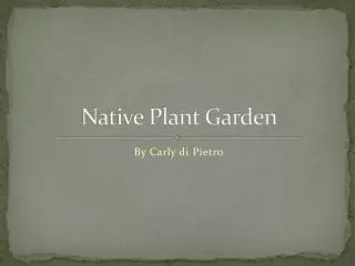 Native Plant Garden