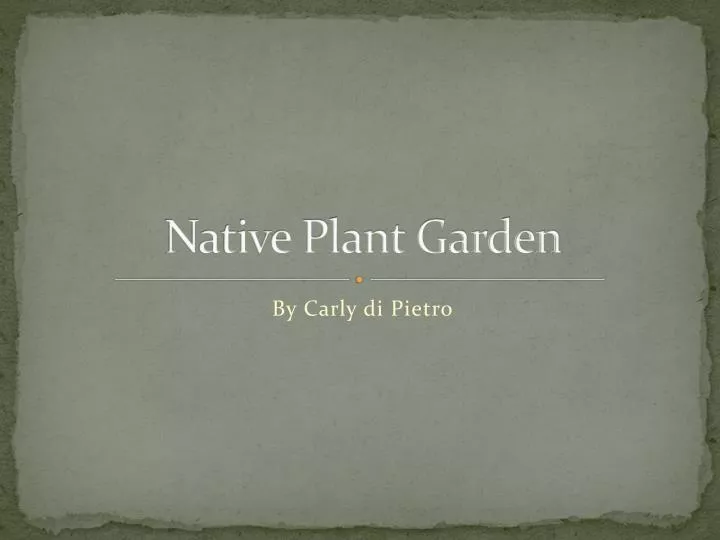 native plant garden