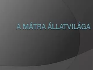 a m tra llatvil ga