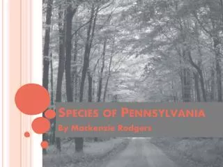Species of Pennsylvania