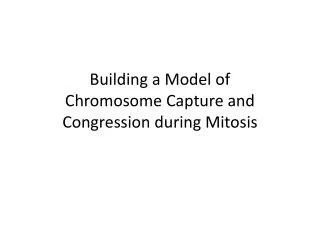 Building a M odel of Chromosome Capture and Congression during Mitosis