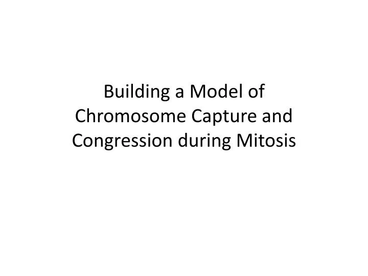building a m odel of chromosome capture and congression during mitosis
