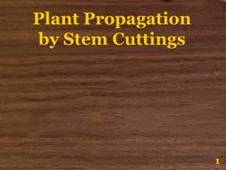 Plant Propagation by Stem Cuttings