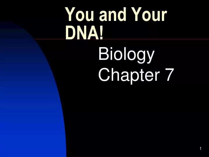 you and your dna