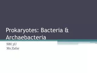 Prokaryotes: Bacteria &amp; Archaebacteria
