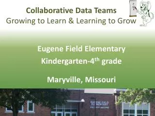 Collaborative Data Teams Growing to Learn &amp; Learning to Grow