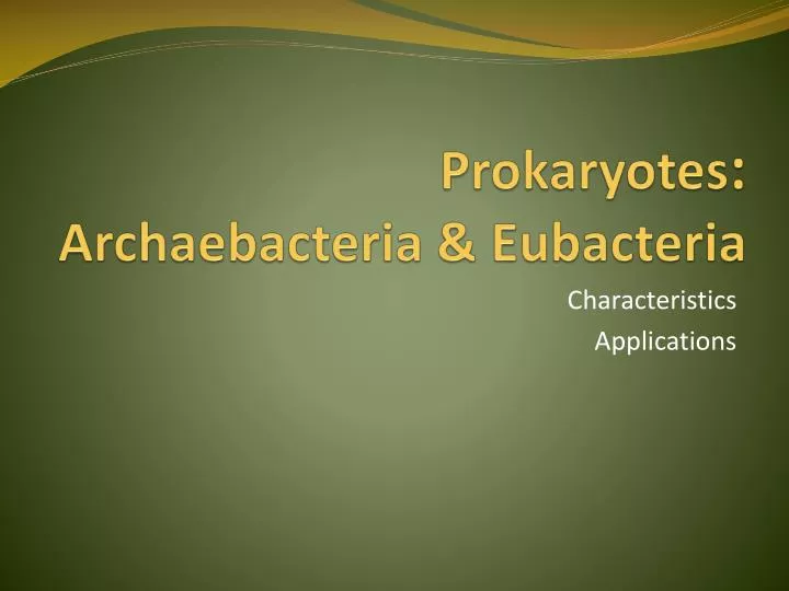 prokaryotes archaebacteria eubacteria