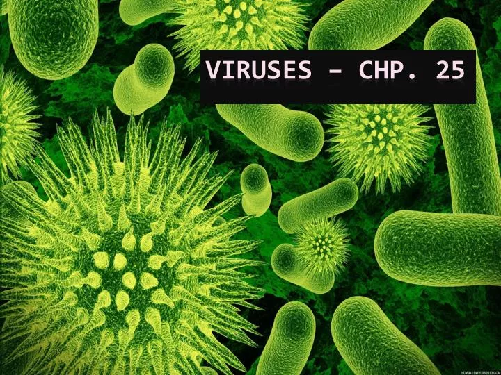 viruses chp 25