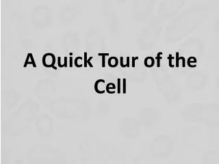 A Quick Tour of the Cell